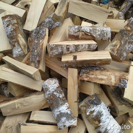 Дрова береза