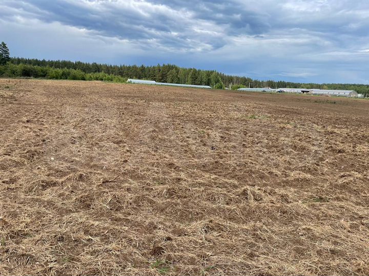 Участок 1,75 га (СНТ, ДНП)