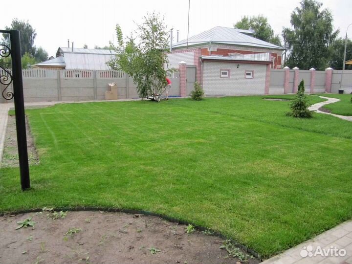 Рулонный газон, укладка, продажа