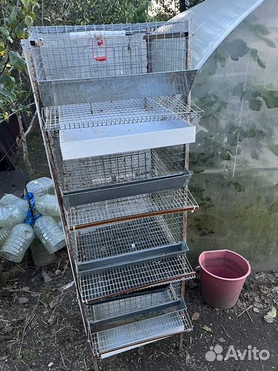 Для перепелок