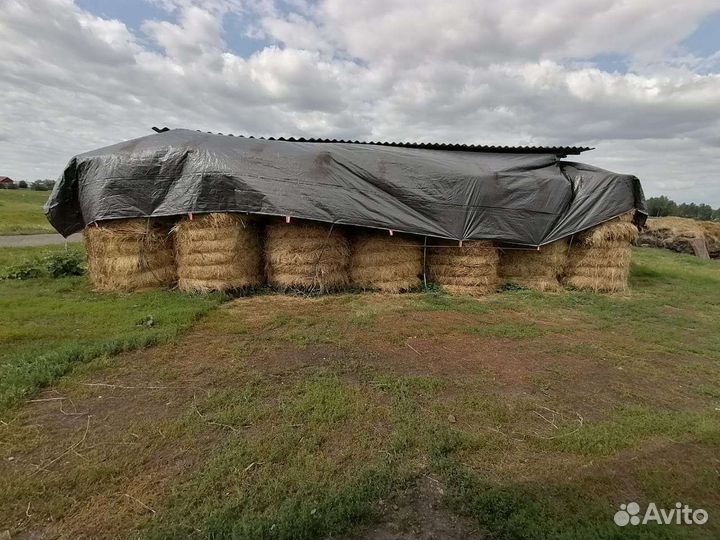 Сено в тюках