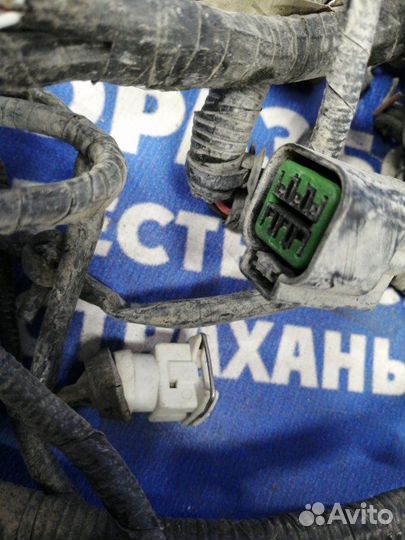 Проводка подкапотная Lifan Breez седан LF479Q3