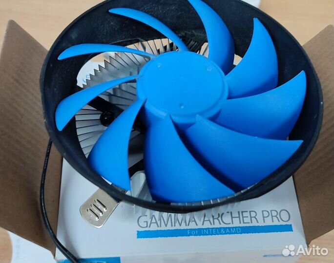Gamma archer pro