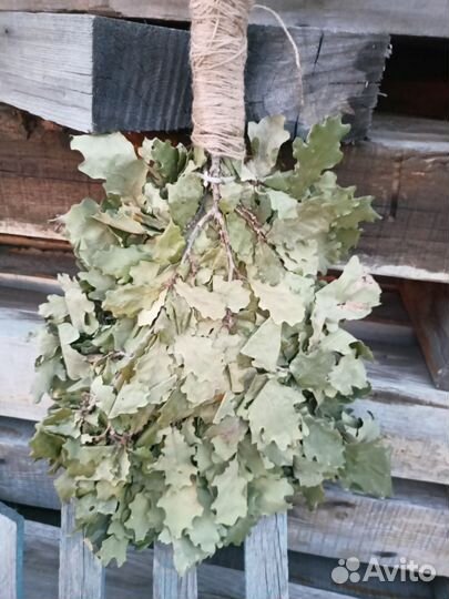 Дубовые веники для бани