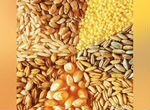 Зерно разное ячмень, пшеница, овес, кукуруза, и др