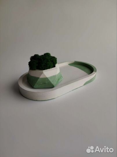 Кашпо с стабилизированным мхом и подносом