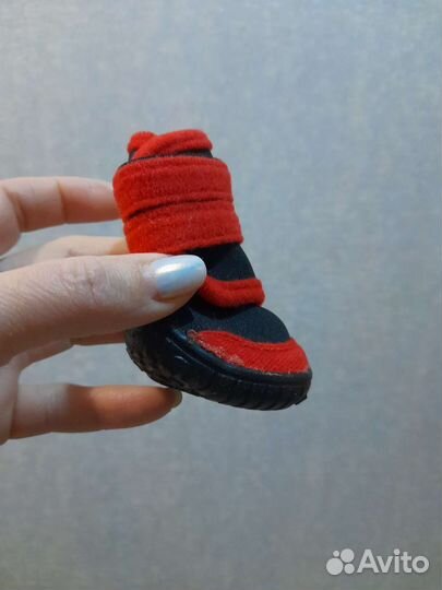 Обувь для собак