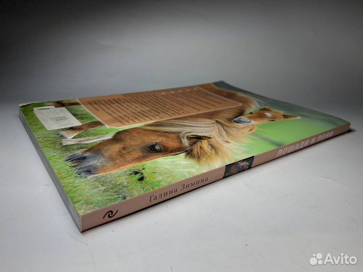 Книги лошади и пони справочник для любителей