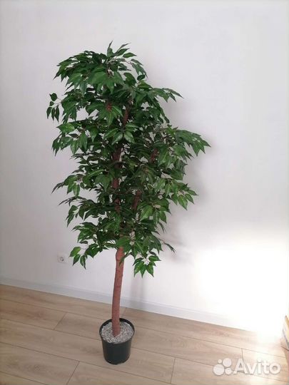 Дерево искусственное фикус