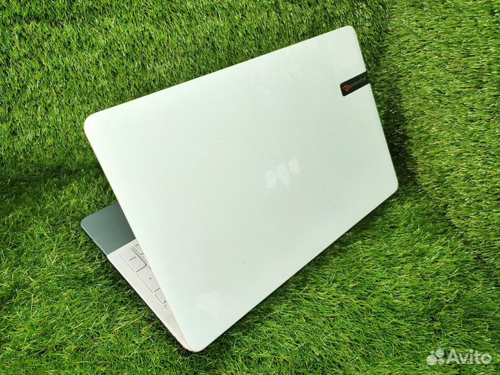 Бюджетный производительный ноут для работы. Гарант