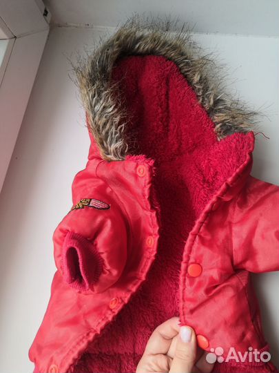 Куртки для собак мелких пород