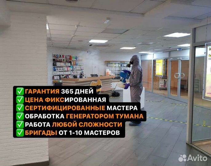 Дезинфекция дератизация дезинсекция