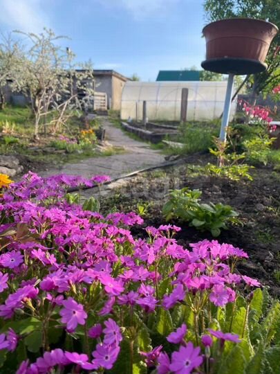 Дом 60 м² на участке 10 сот.