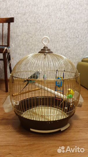 Клетка для попугая бу