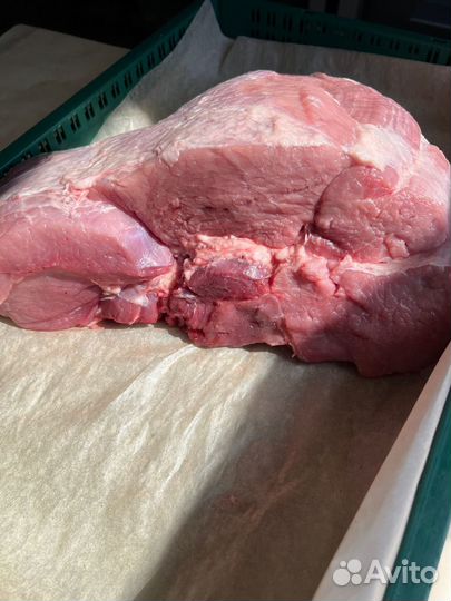 Мясо свинина