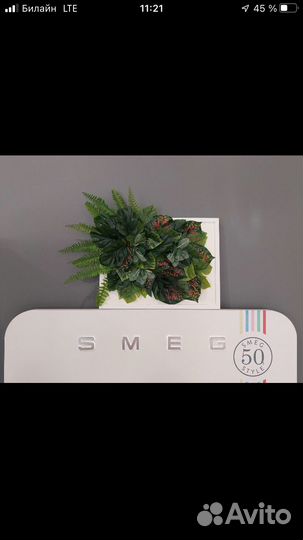 Постеры,картина из зелени,картины их мха,декор