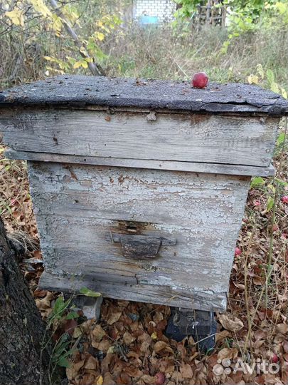 Улей для пчел бу