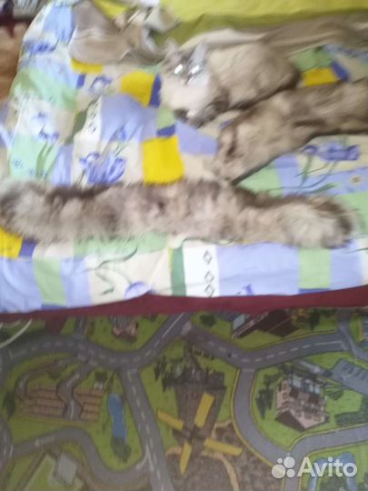 Меховой воротник песец