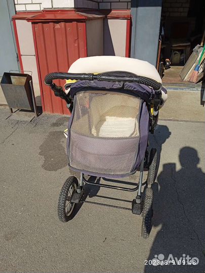 Коляска 3 в 1 avant