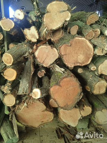 Стволы кавказского можжевельника