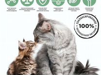 K&D pet Холистик корма для кошек и собак