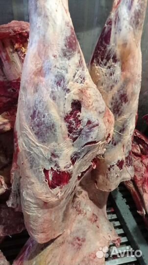 Мясо говядина оптом и розницу