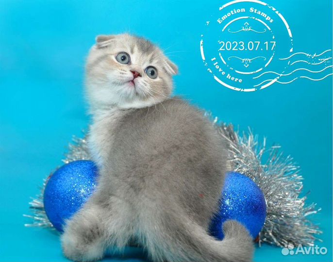 Шикарные плюшки для ваших любимых