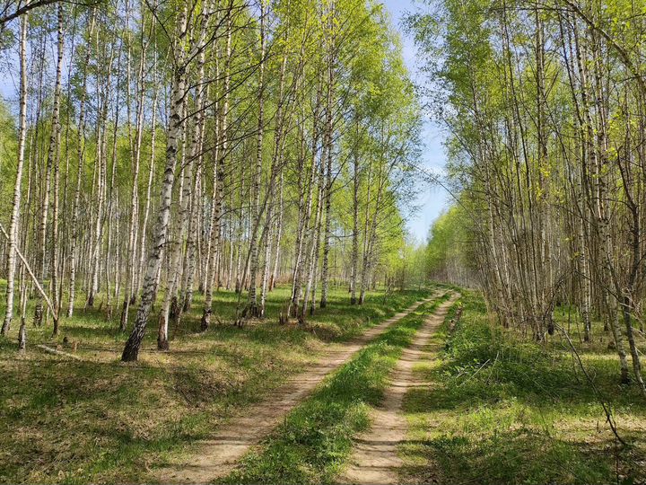 Участок 11,2 га (СНТ, ДНП)