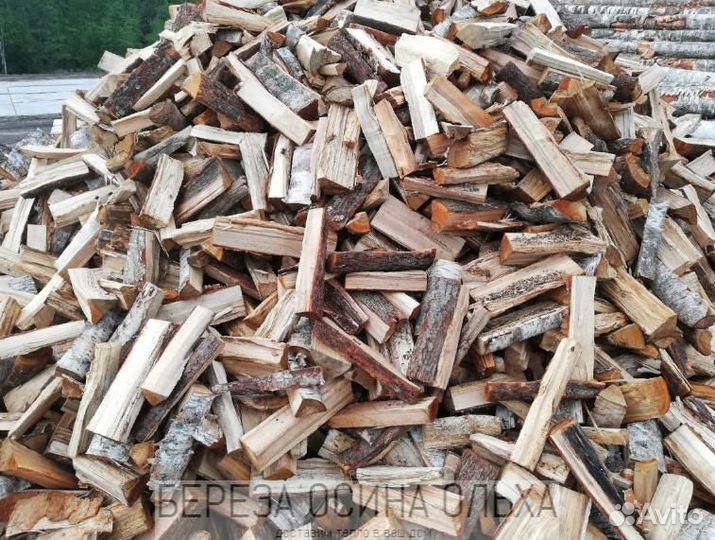 Дрова осиновые хвойные навалом