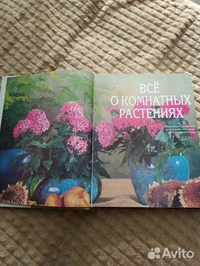 Энциклопедия о цветах