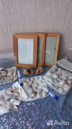 Морские ракушки для поделок с детьми, в аквариум