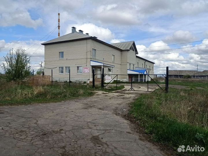 Продам готовый бизнес-забойный цех