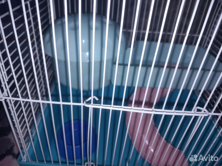 Клетка для грызунов