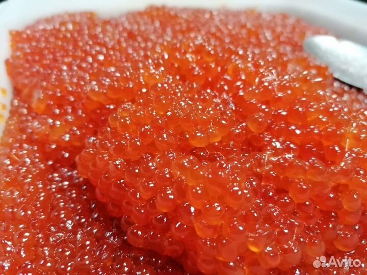 Икра горбуши 4700,икра кеты 6400,малосольная