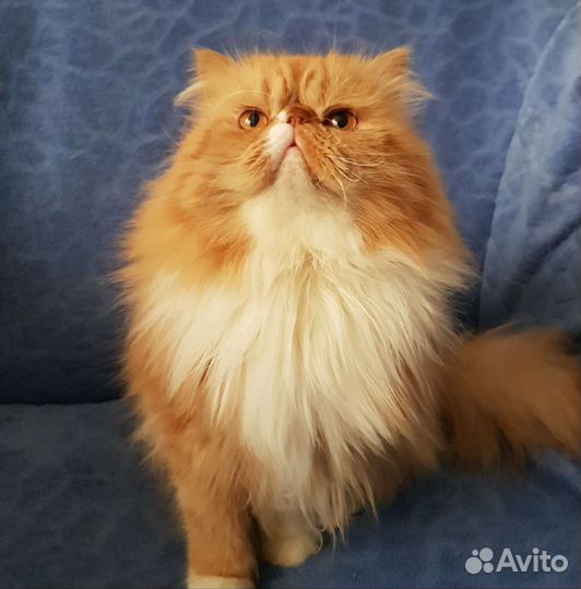 Котик для вязки