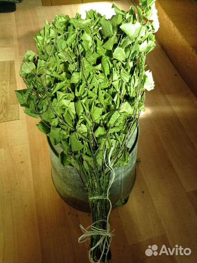 Березовые веники