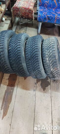 Gislaved Nord Frost 200 175/65 R14