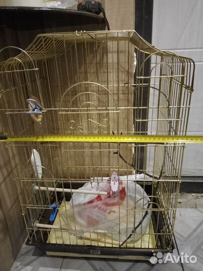 Клетка для попугая корелла