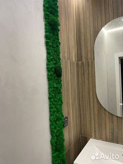 Фитопанно из мха