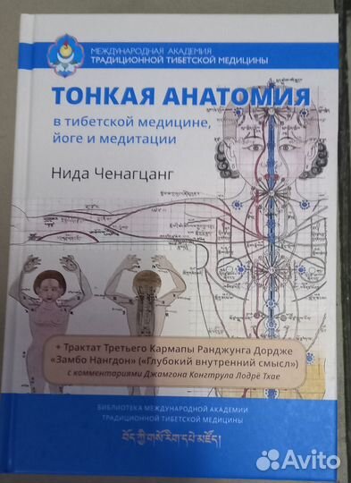 Фундаментальные основы тибетской медицины