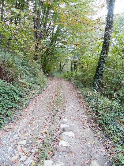 Участок 5 сот. (ИЖС)