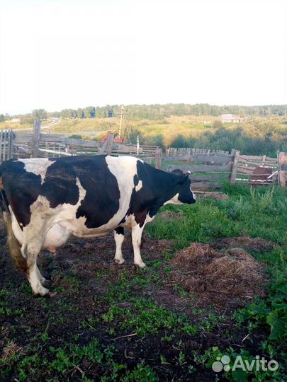 Сельское хозяйство