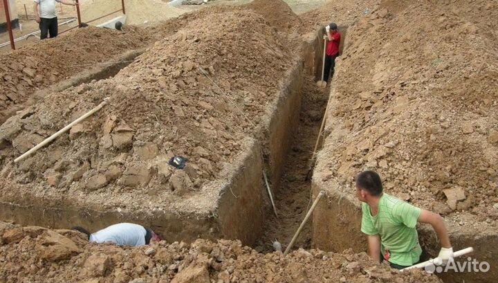Требуется землекоп