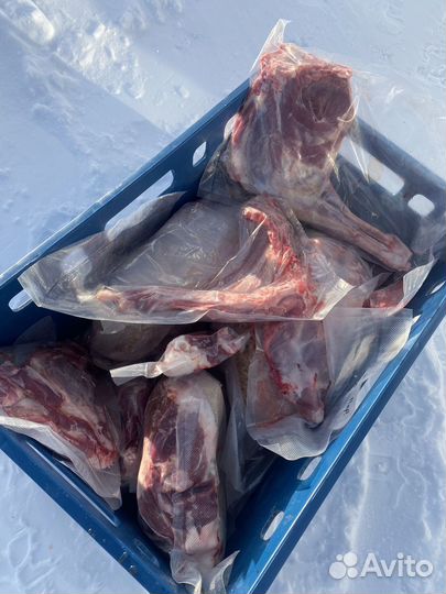 Мясо баранина свежая