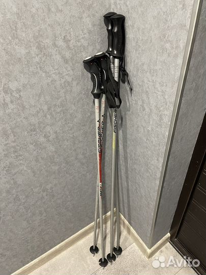 Палки для горных лыж