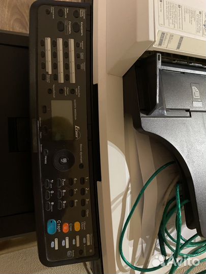 Мфу Kyocera ecosyc M 6026 cdn