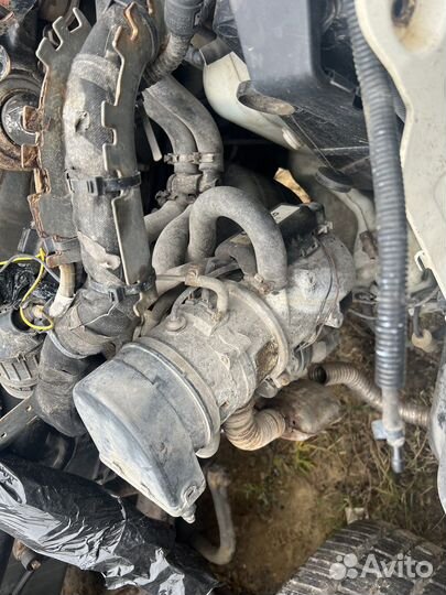 Мокрая автономка Webasto