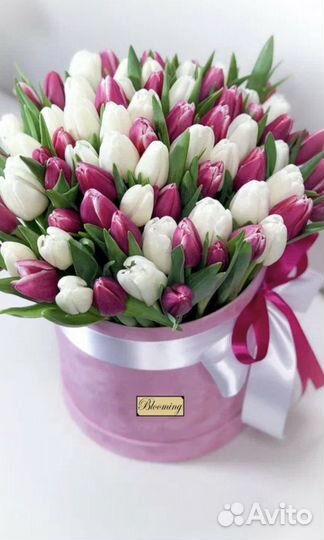 Тюльпаны оптом на 8 марта
