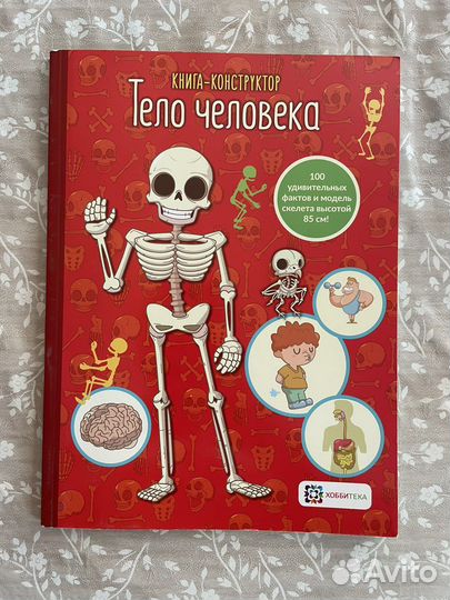 Книга Тело человека