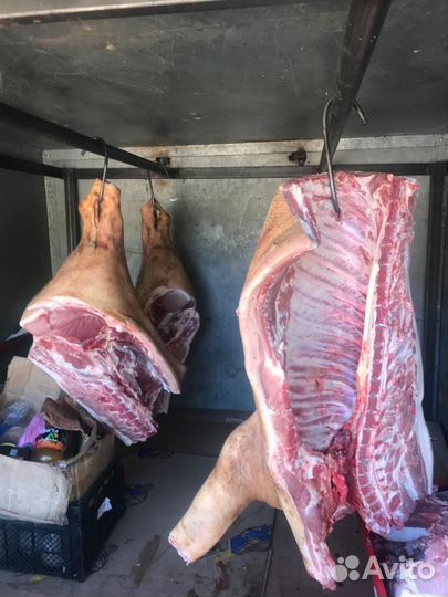Мясо свинина полутуши